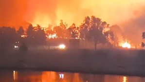 Incêndios na Austrália obrigam à retirada de centenas de pessoas