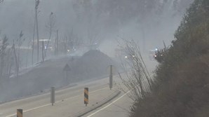 Incêndio na Sertã fere cinco bombeiros e deixa populações em risco