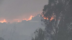 Incêndio na Sertã