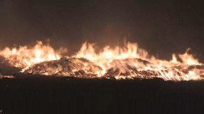 Fábrica de madeira a arder na Sertã