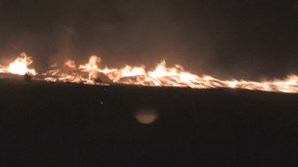 Fábrica de madeira a arder na Sertã
