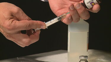 Conheça as novas crias do Jardim Zoológico