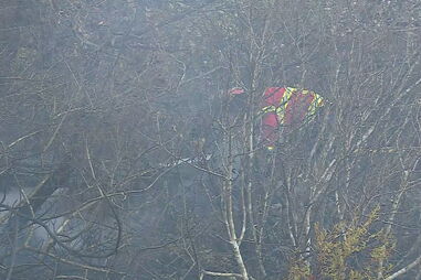 Incêndio obriga à evacuação de aldeia em Ourém