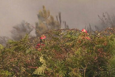 Mais de 300 bombeiros no combate às chamas em dois incêndios em Castro Daire