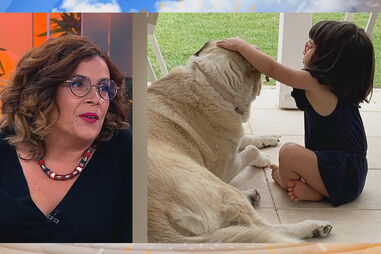 Catarina Raminhos escreveu um livro infantil inspirado na filha mais nova