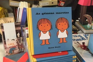 Livro "As Gémeas Marotas" tem gerado controvérsia por parecer um livro infantil destinado a crianças, mas é afinal uma publicação com conteúdo sexual