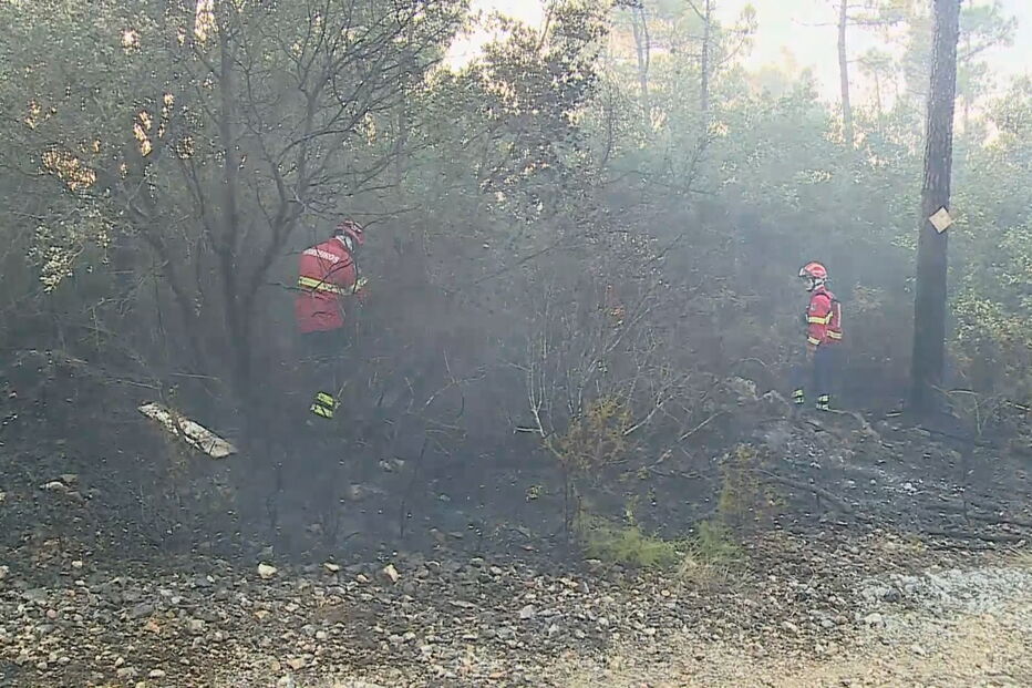 Incêndio obriga à evacuação de aldeia em Ourém
