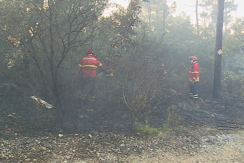 Incêndio obriga à evacuação de aldeia em Ourém