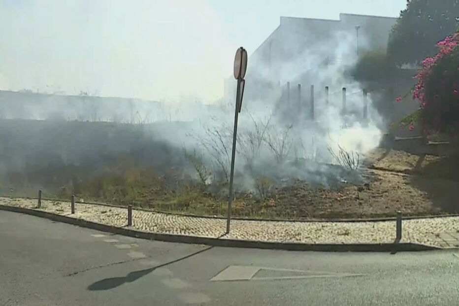 Chamas consomem zona de mato na Brandoa