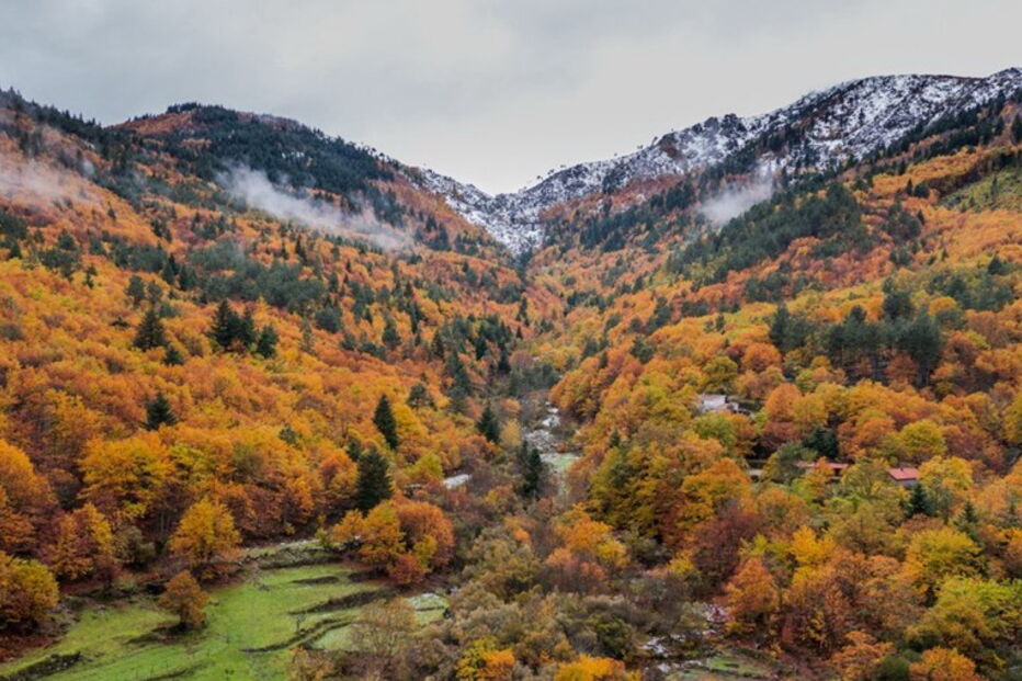 Serra da Estrela