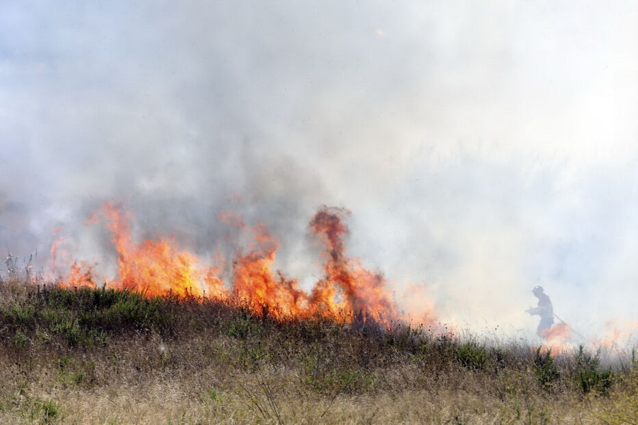 Chamas consomem zona de mato na Brandoa