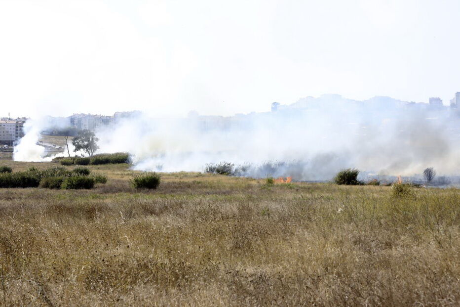 Chamas consomem zona de mato na Brandoa