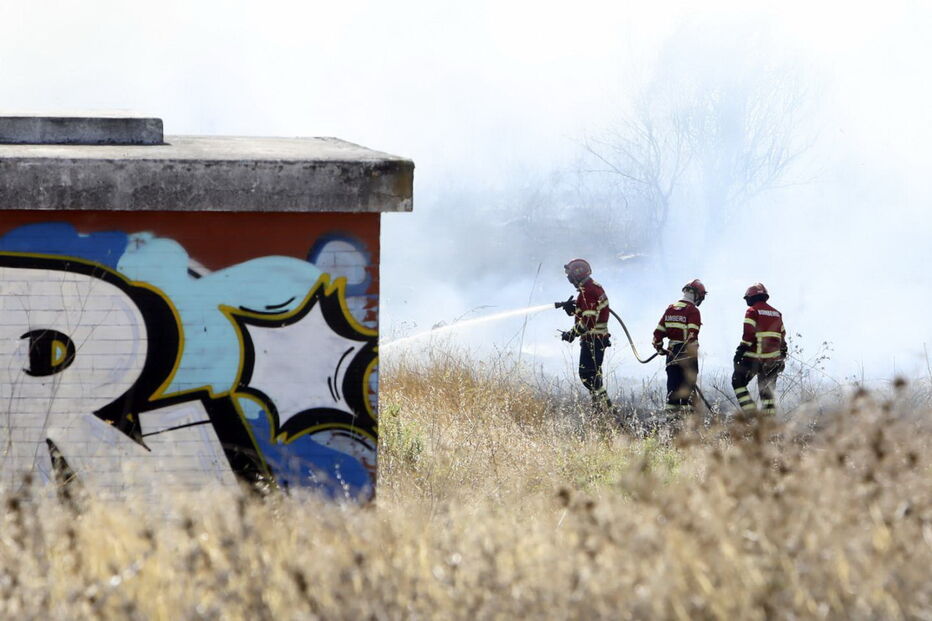 Chamas consomem zona de mato na Brandoa