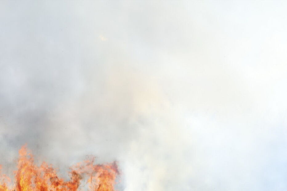 Chamas consomem zona de mato na Brandoa