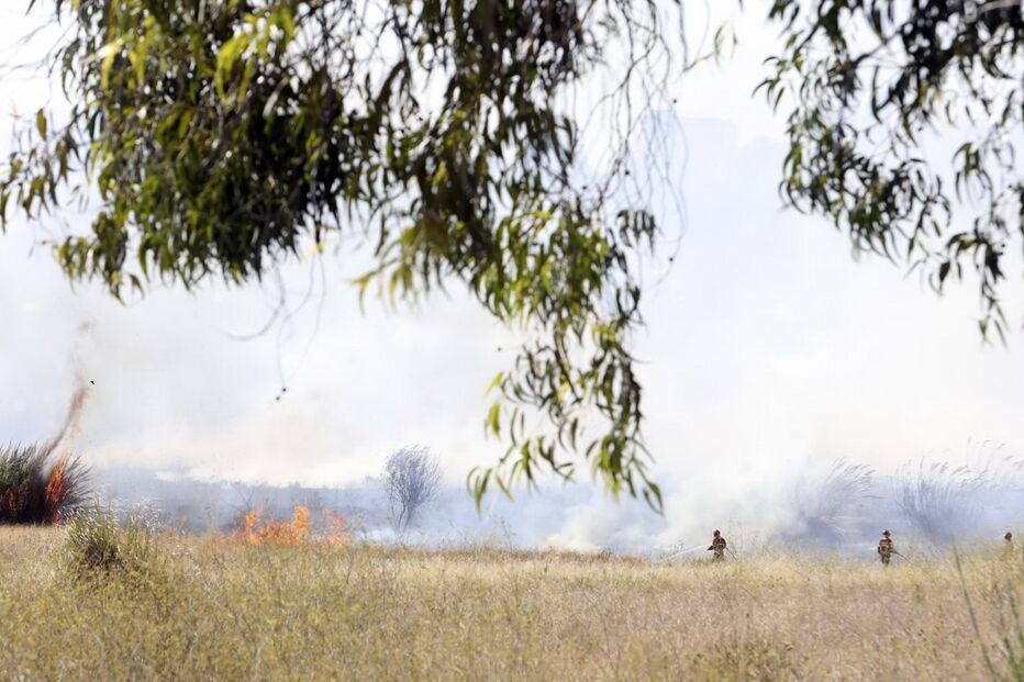 Chamas consomem zona de mato na Brandoa
