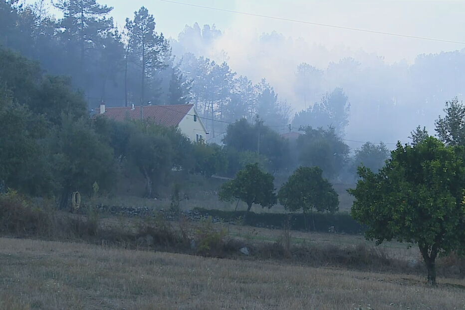 Fogo lavra com intensidade num povoamento florestal em Leiria