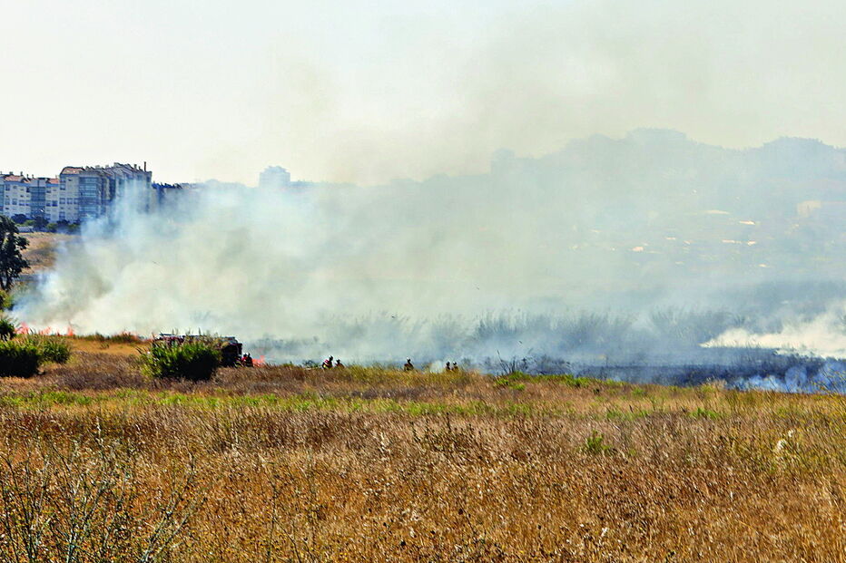 Fogo em mato no concelho da Amadora 