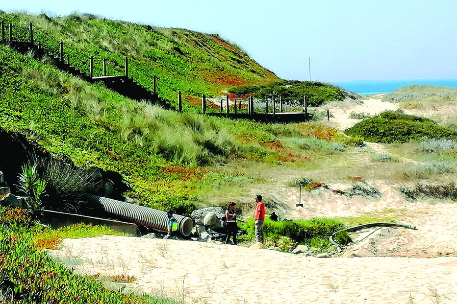 Caso registado entre as praias do Cabo do Mundo e do Aterro