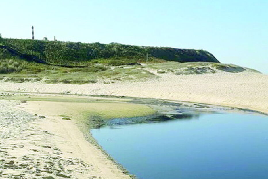 Mancha negra invadiu areia de zona não balnear