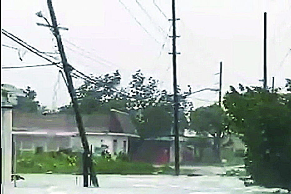 Vento derrubou árvores e postes de eletricidade