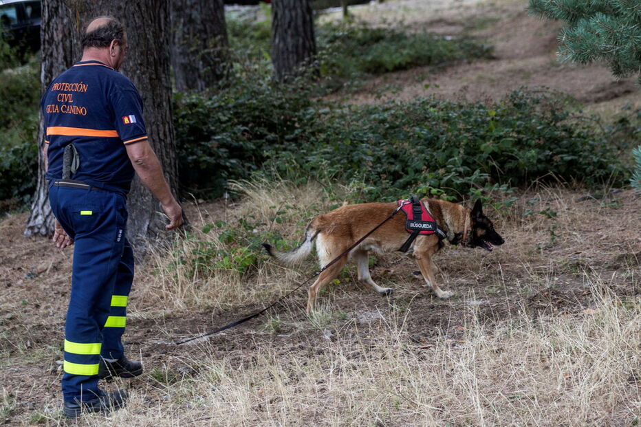 Encontrado cadáver de mulher no local onde estão a ser realizadas buscas por ex-esquiadora espanhola