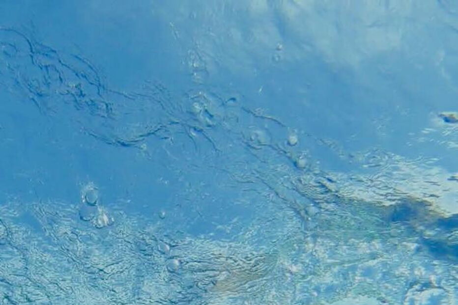 Mayra Santos emocionada com travessia a nado conseguida entre Madeira e Porto Santo