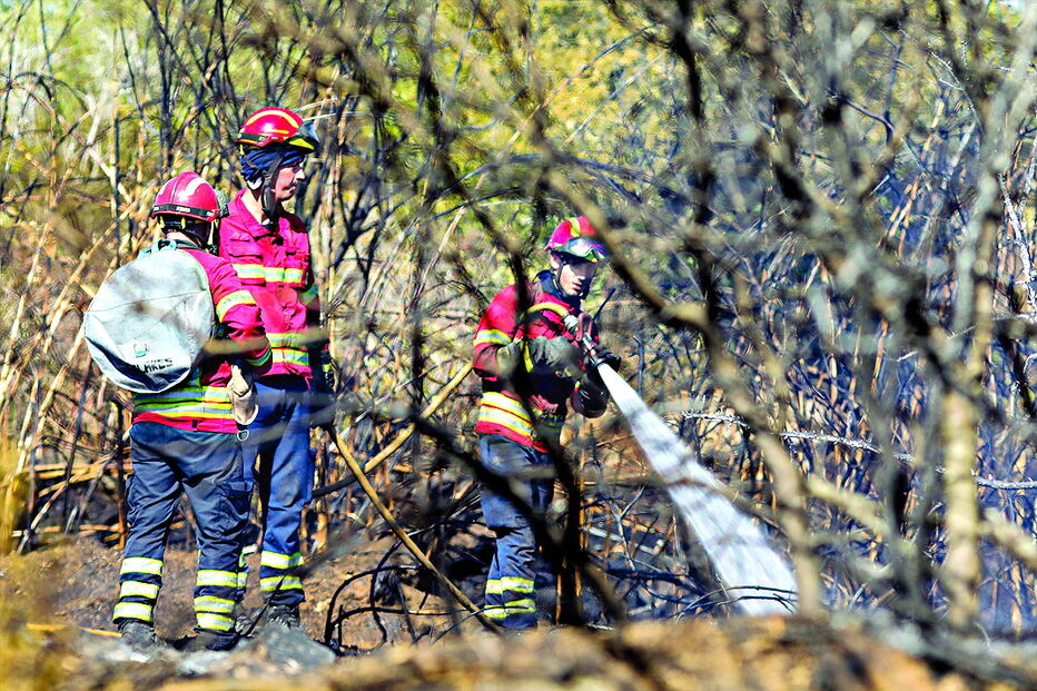 Dezenas de bombeiros combateram as chamas em Sintra 