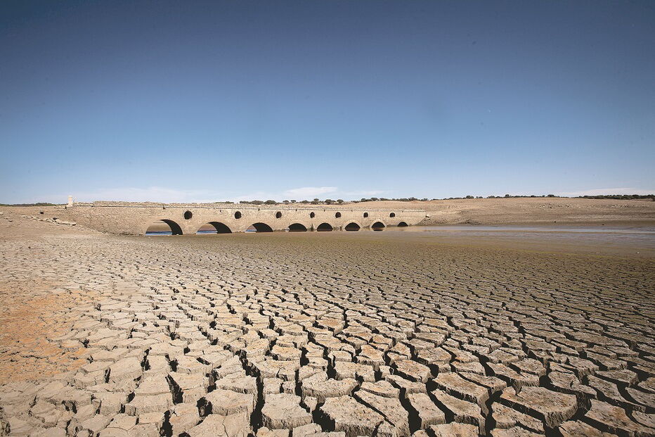 Alterações climáticas aceleram a falta de água nos solos