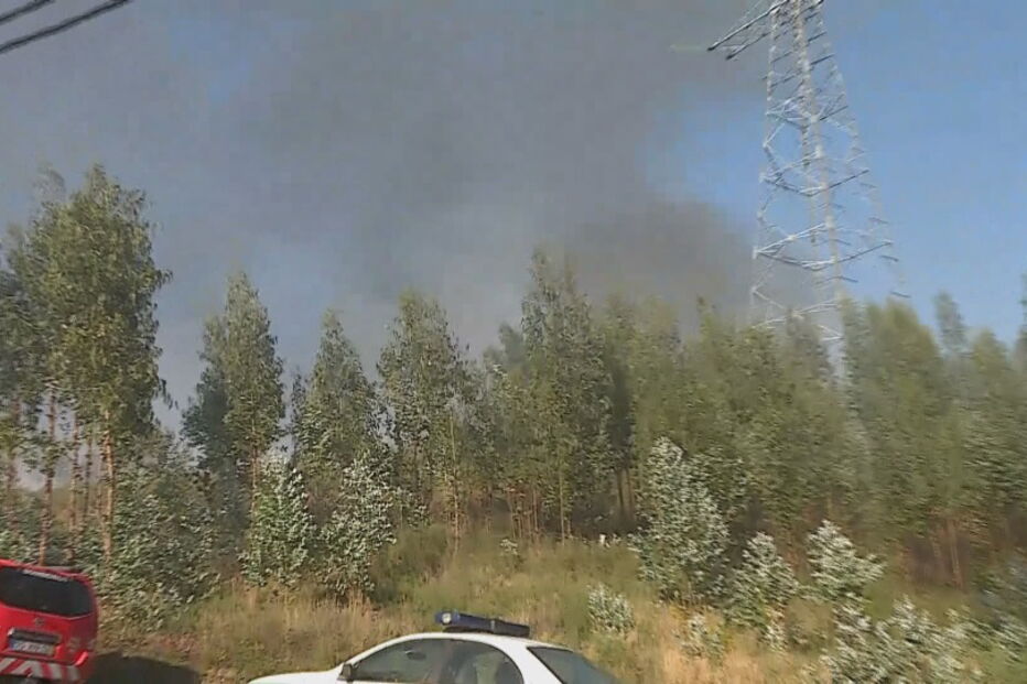 Um morto em queda de helicóptero de combate a incêndios em Valongo