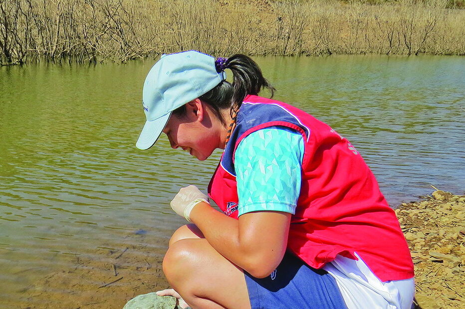 Animais foram devolvidos ao seu habitat natural na Herdade da Parra  