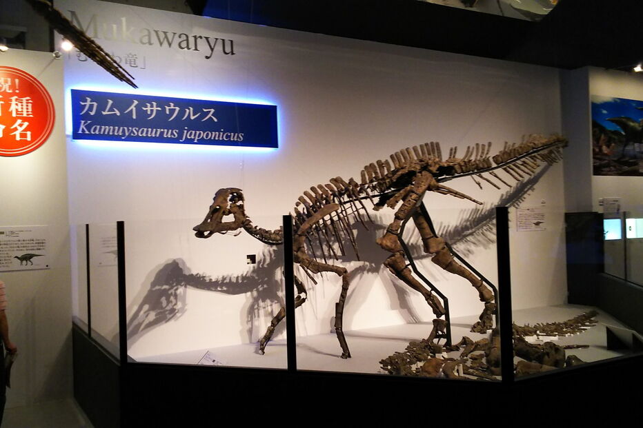 Dinossauro foi batizado como 