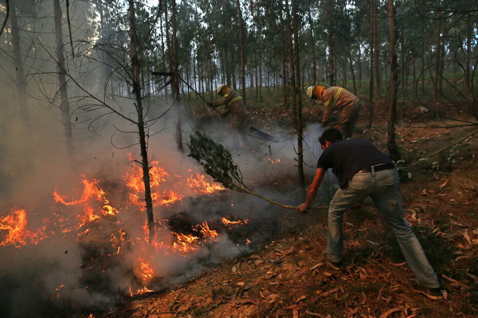 Incêndio em Albergaria-a-Velha