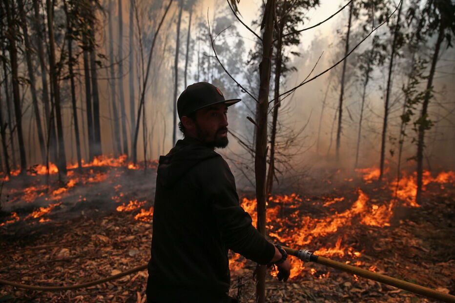 Incêndio em Albergaria-a-Velha