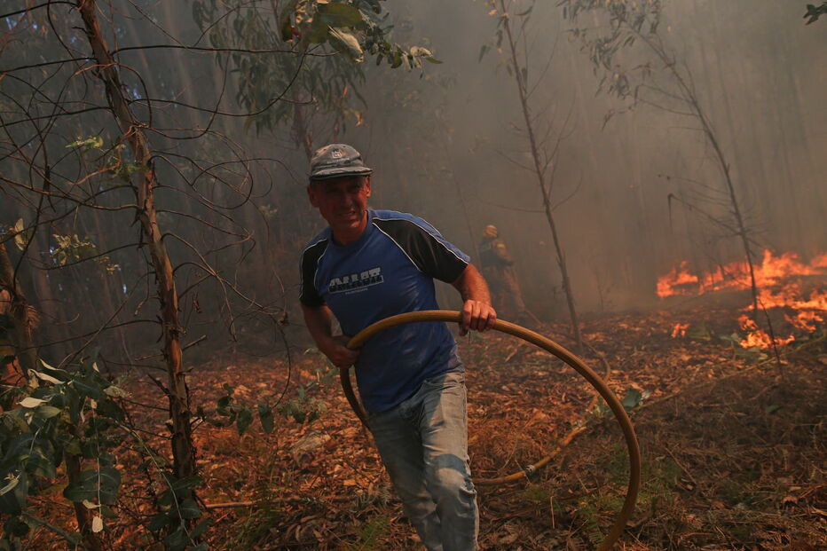 Incêndio em Albergaria-a-Velha