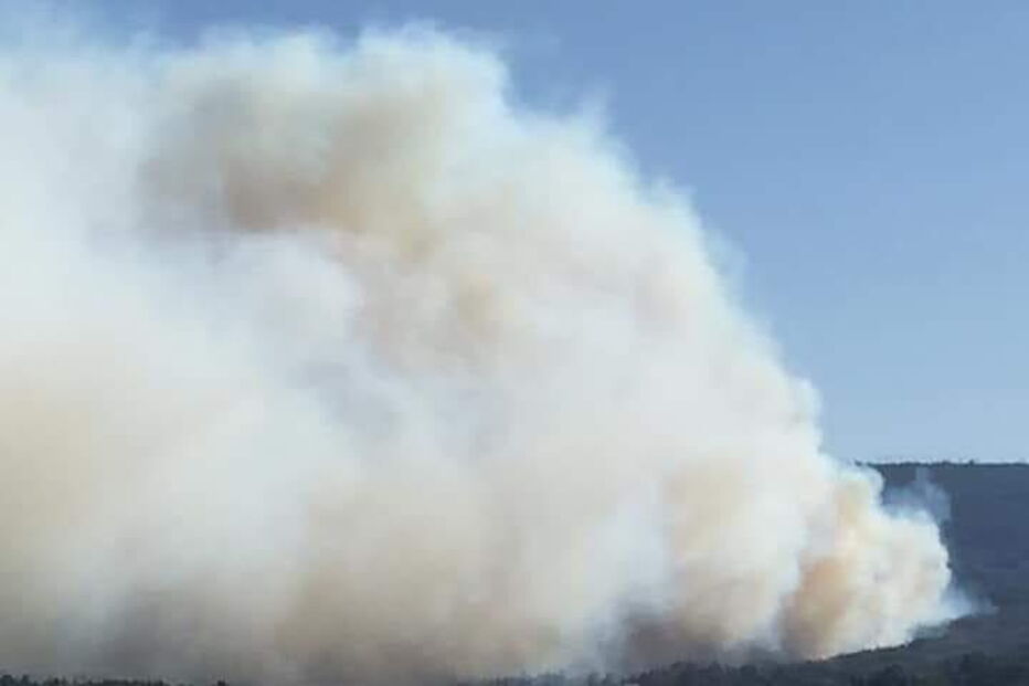 Chamas consomem povoamento florestal na Mealhada