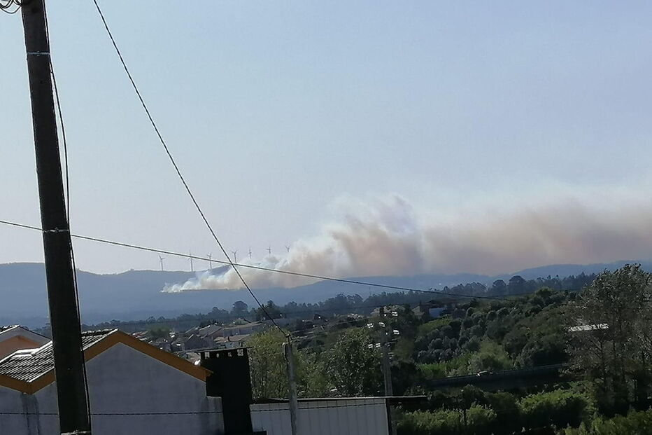 Chamas consomem povoamento florestal na Mealhada
