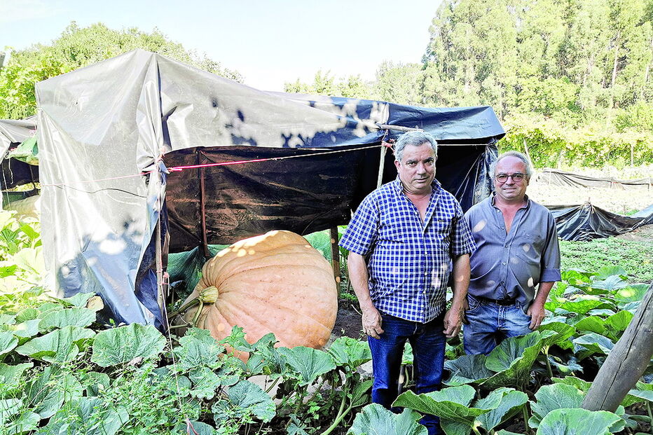 José Pereira (direita) é um dos agricultores que vão participar no desafio da autarquia com o irmão Fernando Pereira