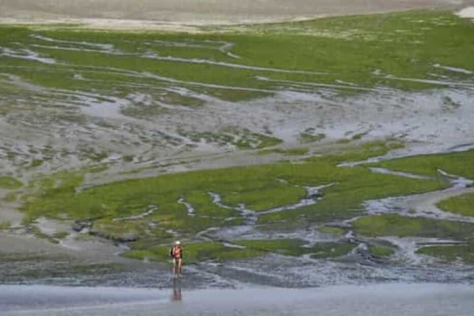Algas tóxicas após pisadas podem causar a morte