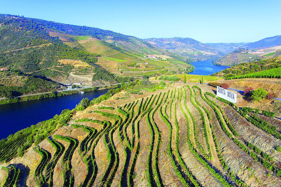 Região do Douro vinhateiro