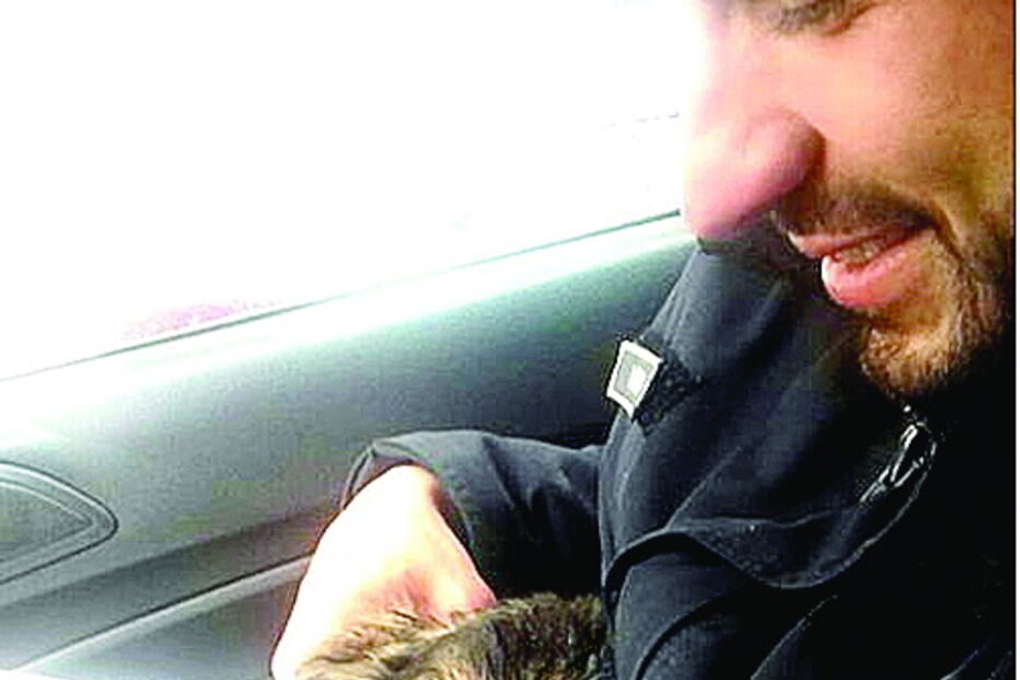 Animais resgatados pela polícia 