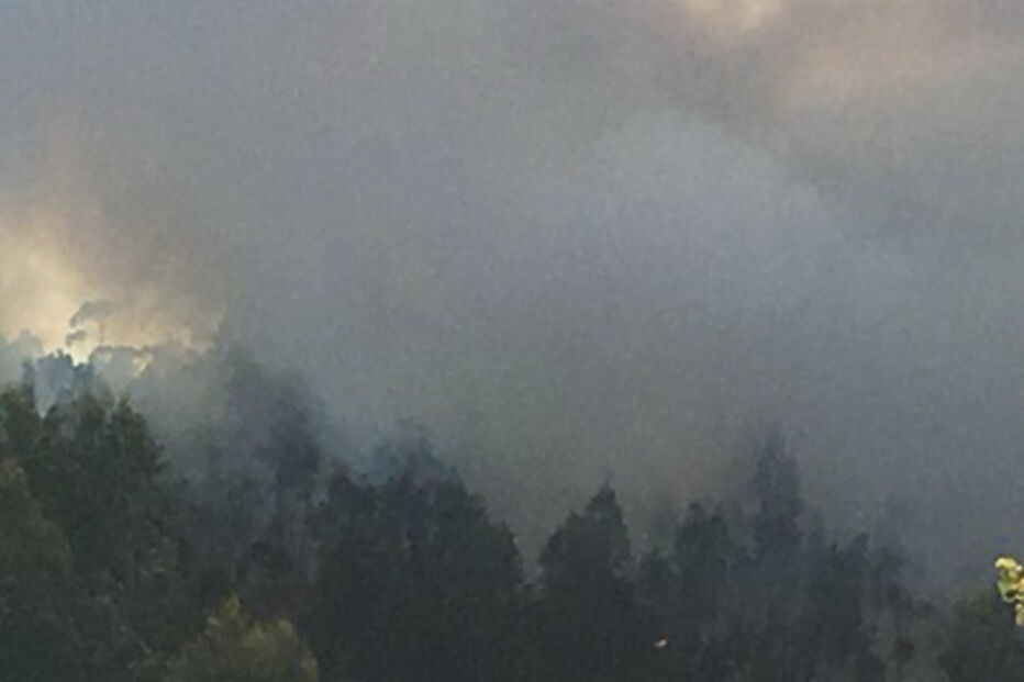 Incêndio em Ovar obriga ao corte da A1 nos dois sentidos