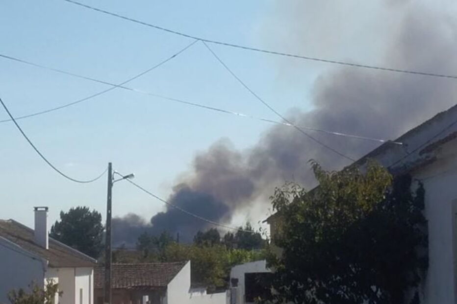 Chamas consomem povoamento florestal na Azambuja