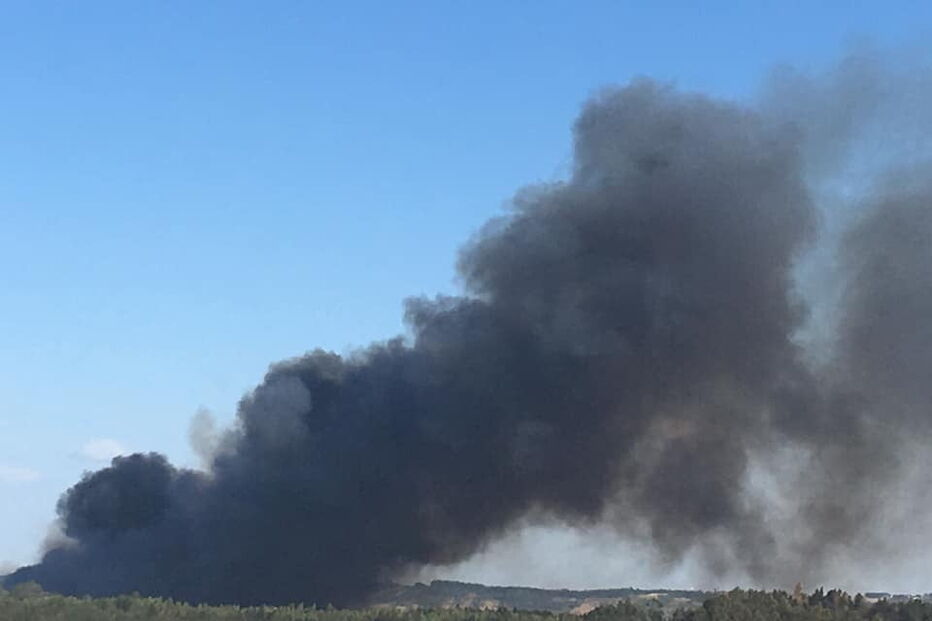 Chamas consomem povoamento florestal na Azambuja