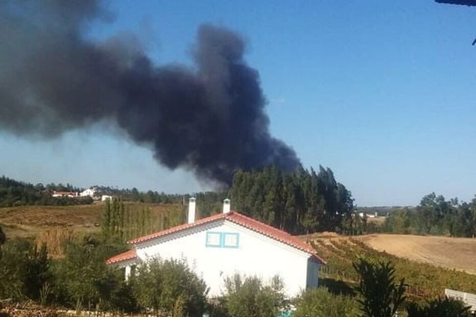 Chamas consomem povoamento florestal na Azambuja