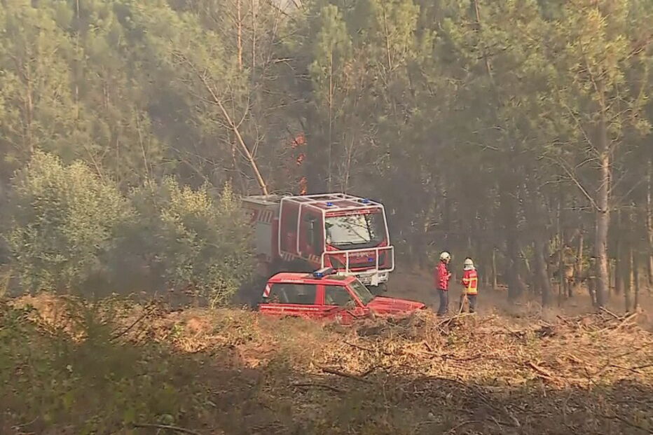 Fogo em Pombal perto de casas mobiliza mais de 100 operacionais
