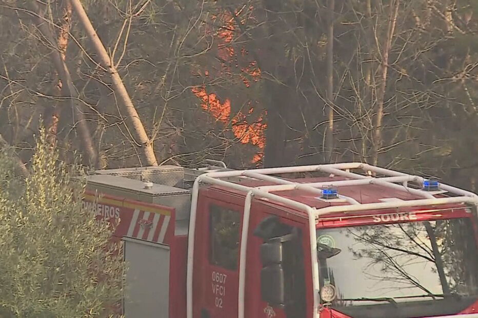 Fogo em Pombal perto de casas mobiliza mais de 100 operacionais