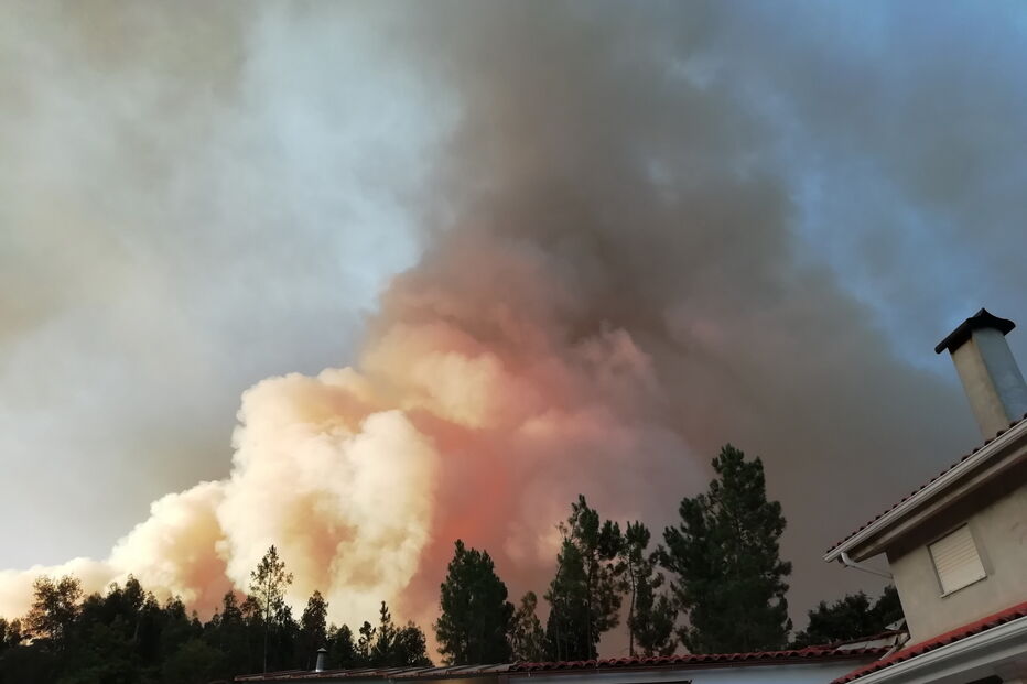 Fogo em Miranda do Corvo