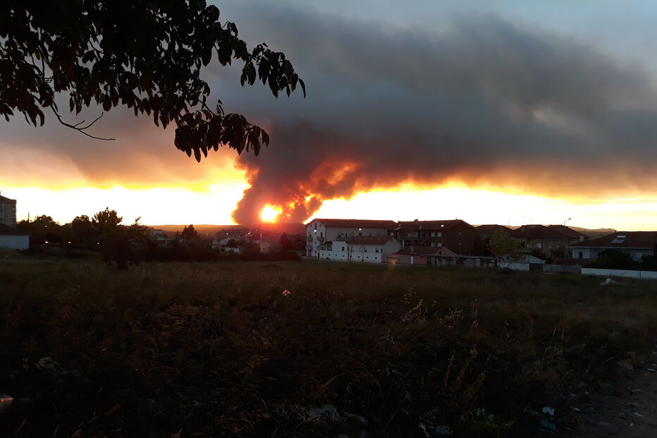 Fogo em Miranda do Corvo combatido por quase 500 bombeiros