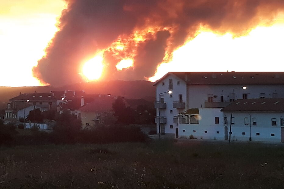 Fogo em Miranda do Corvo combatido por quase 500 bombeiros