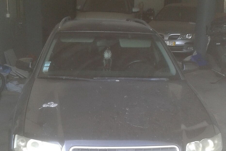 Detidos por furto num posto de combustível em Almada ficam em prisão preventiva